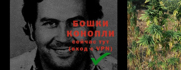 метадон Сафоново