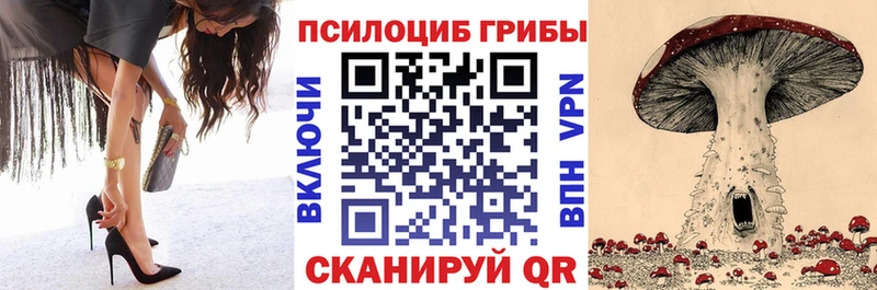 Псилоцибиновые грибы мухоморы  Жердевка 