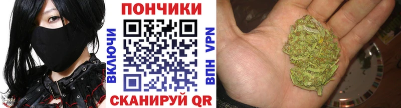 Бошки Шишки OG Kush Жердевка